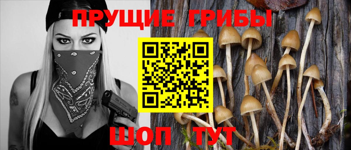 Галлюциногенные грибы GOLDEN TEACHER Алексин