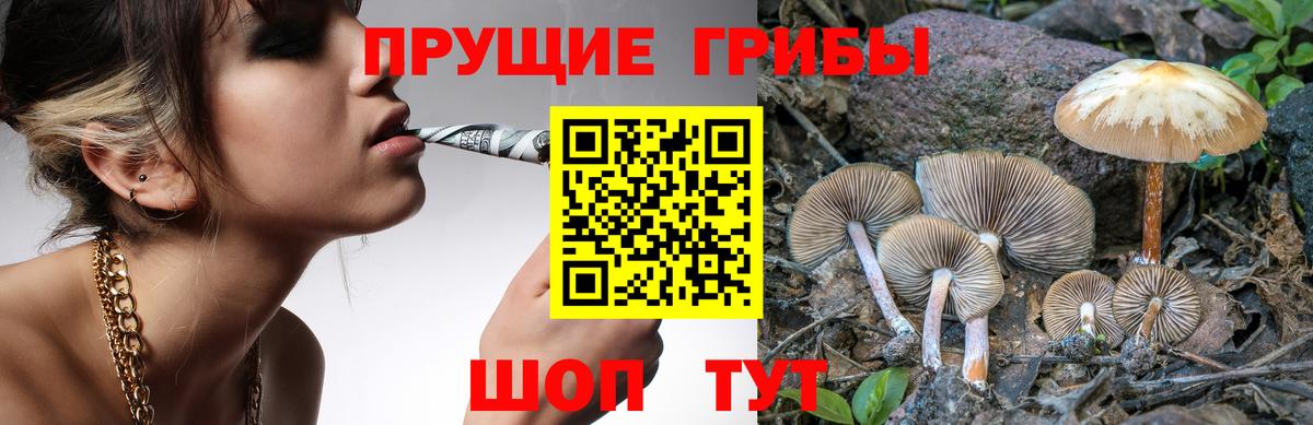 магазин  наркотиков  Псилоцибиновые грибы мухоморы  Алексин  Вход с VPN  Псилоцибиновые грибы MAGIC MUSHROOMS 